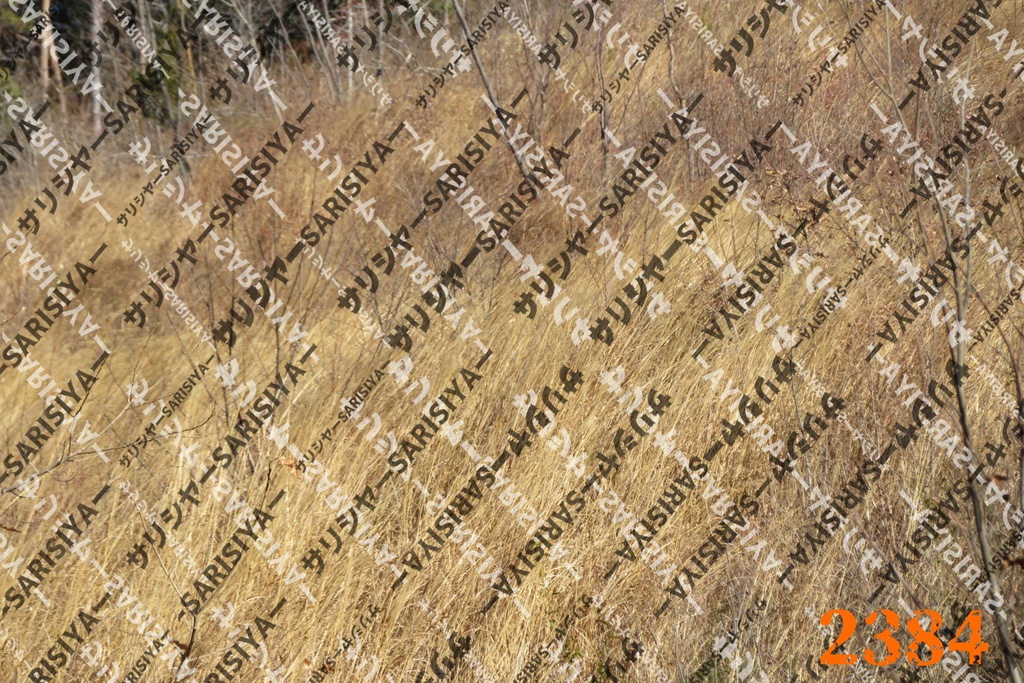 |お友達と行った場所| ~写真たち~