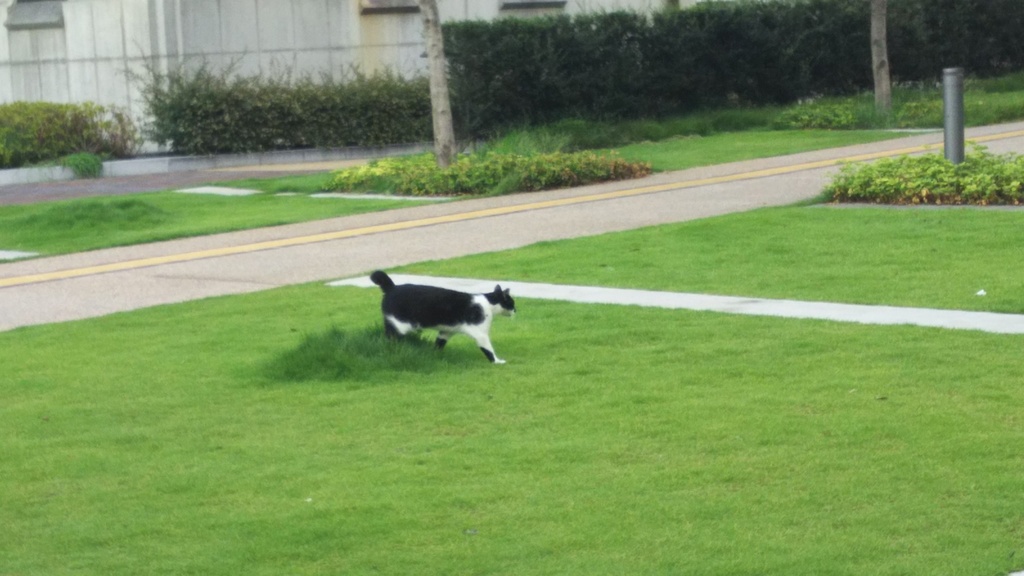 【無料だよ】 撮った場所はバラバラ