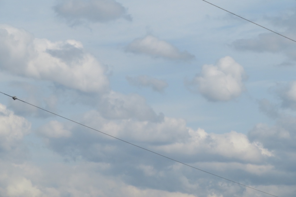 【無料だよ】 撮った場所はバラバラ