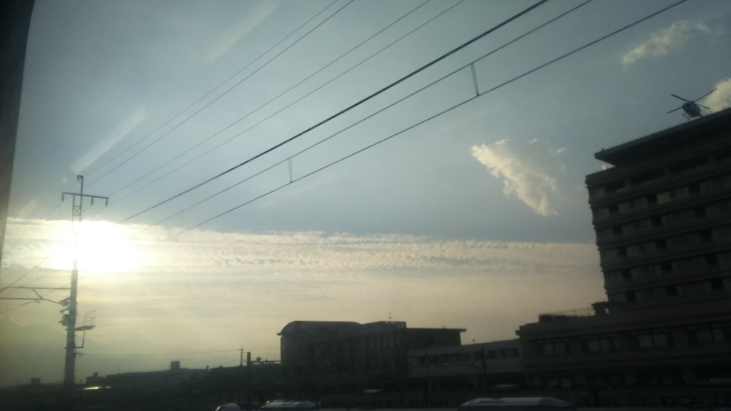 【無料だよ】 撮った場所はバラバラ