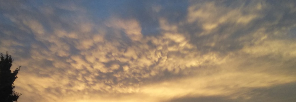 【無料だよ】 撮った場所はバラバラ