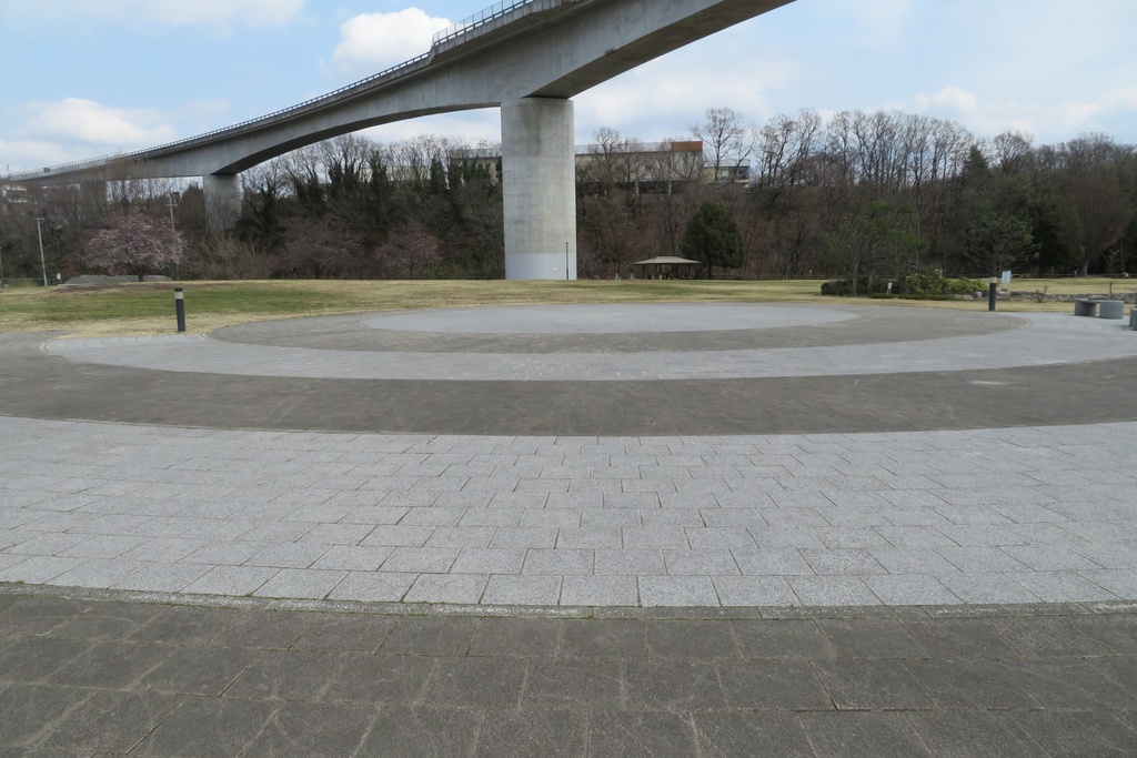 【無料だよ】 撮った場所はバラバラ