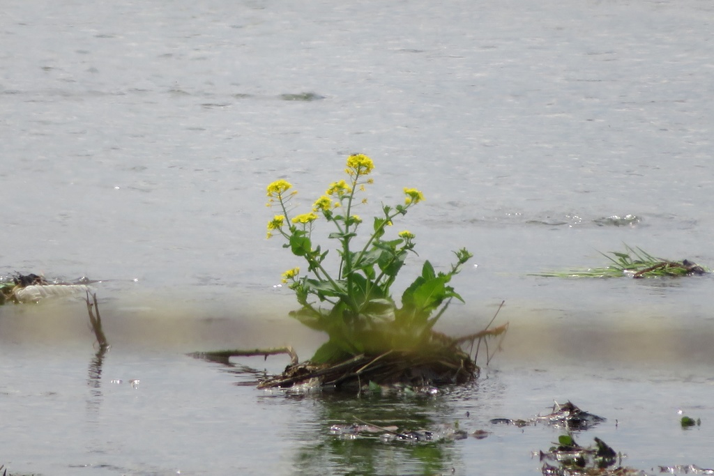 【無料だよ】 撮った場所はバラバラ