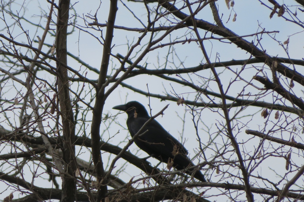 【無料だよ】 撮った場所はバラバラ