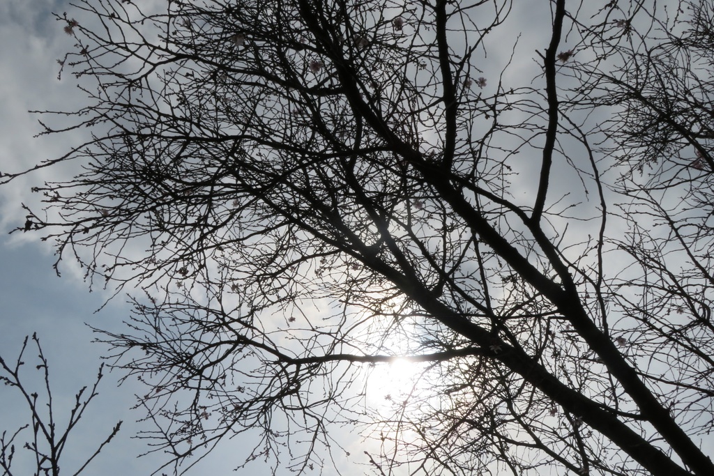 【無料だよ】 撮った場所はバラバラ