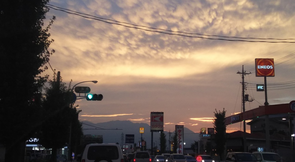 【無料だよ】 撮った場所はバラバラ