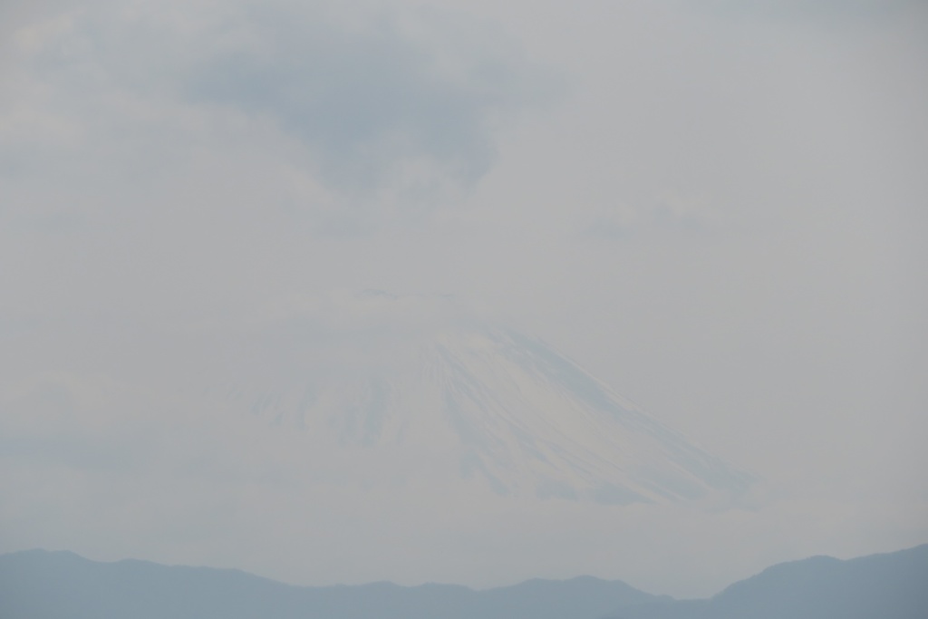 【無料だよ】 撮った場所はバラバラ