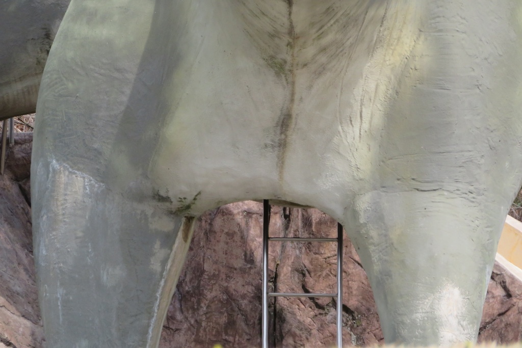 【無料だよ】 撮った場所はバラバラ