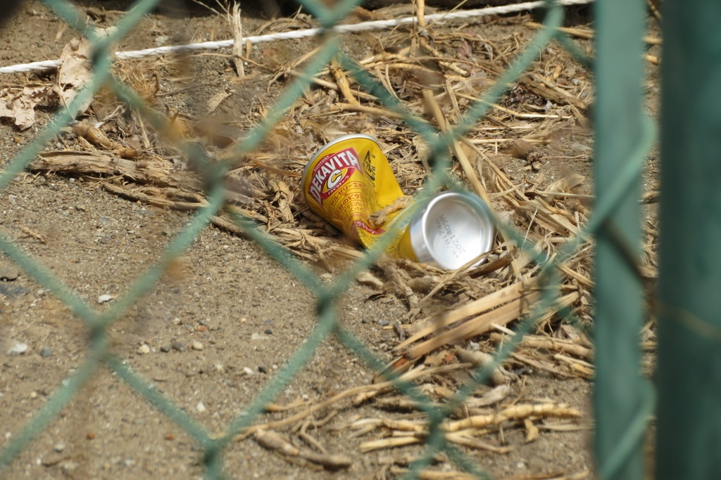 【無料だよ】 撮った場所はバラバラ