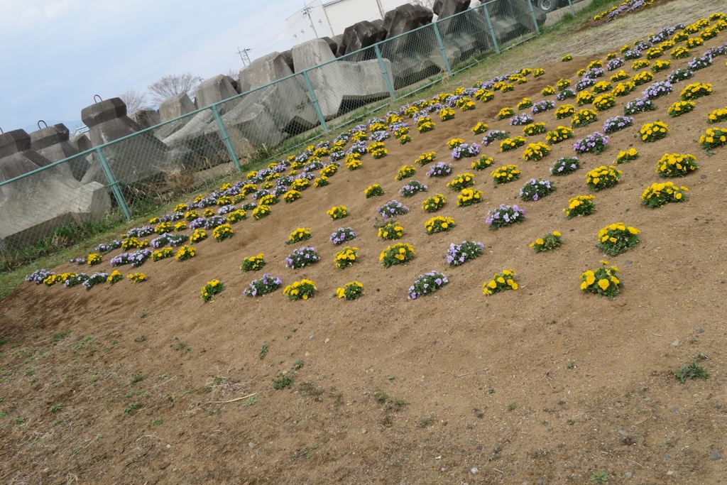 【無料だよ】 撮った場所はバラバラ