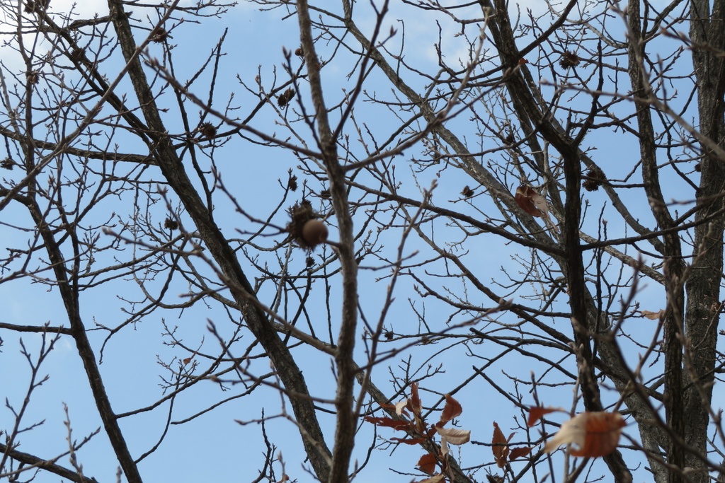 【無料だよ】 撮った場所はバラバラ