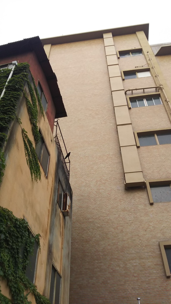 【無料だよ】 撮った場所はバラバラ