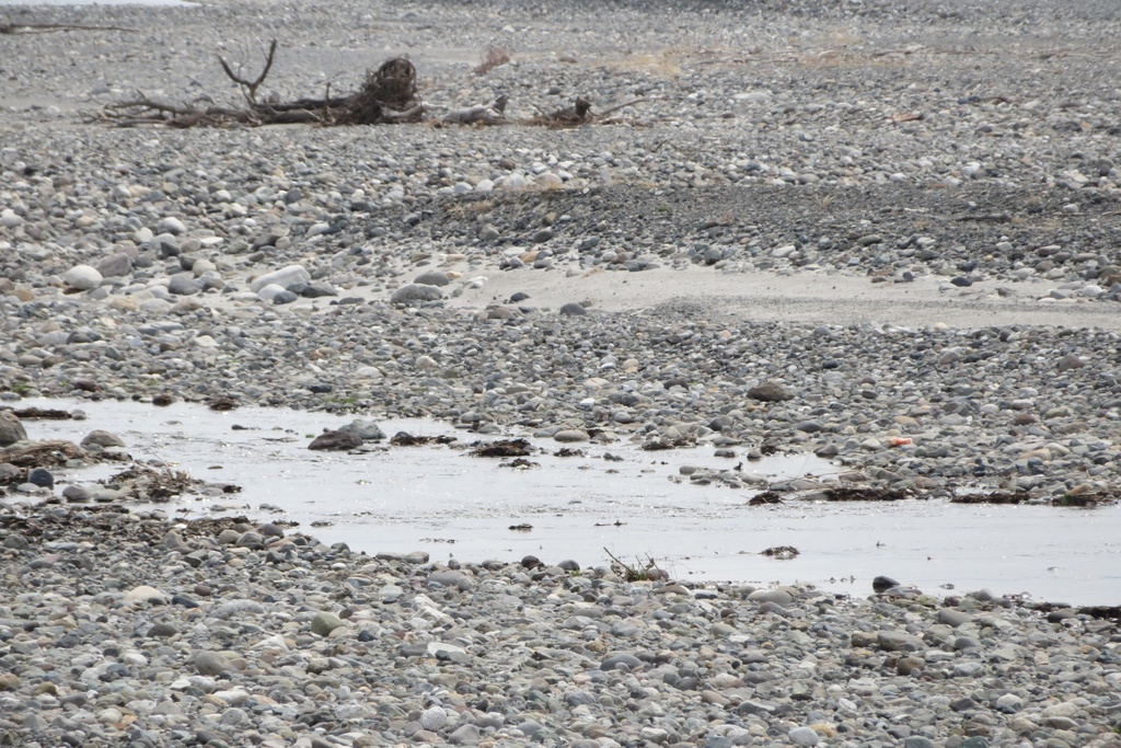 【無料だよ】 撮った場所はバラバラ