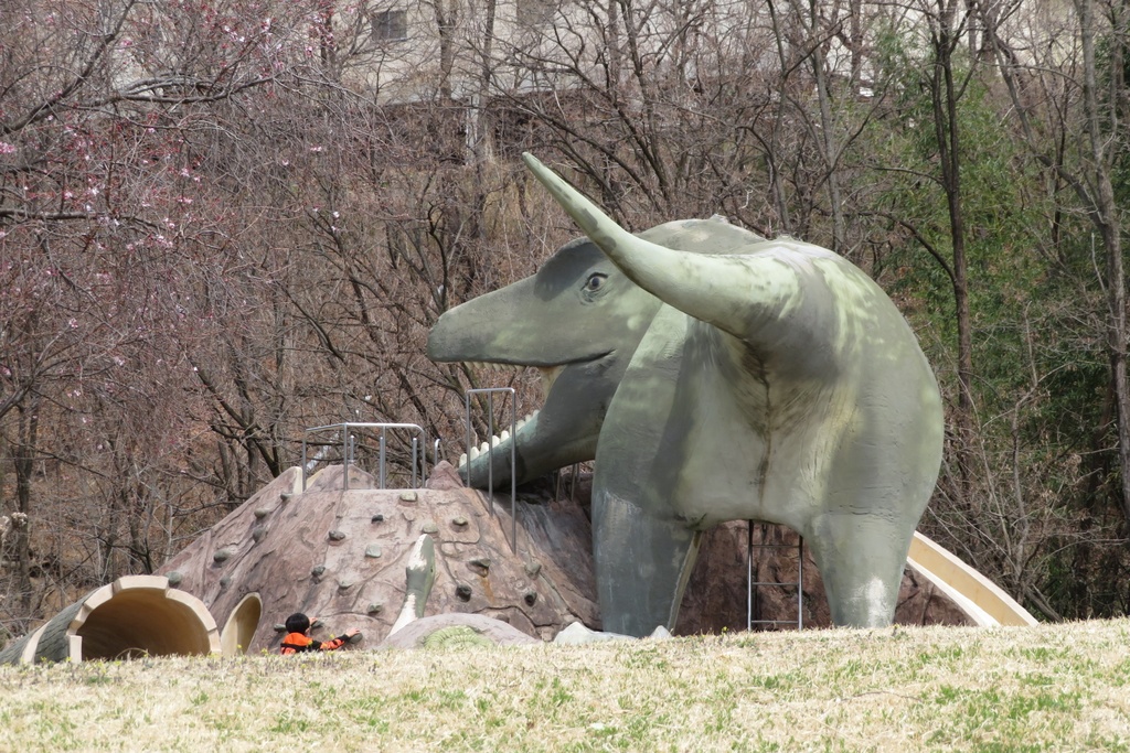 【無料だよ】 撮った場所はバラバラ