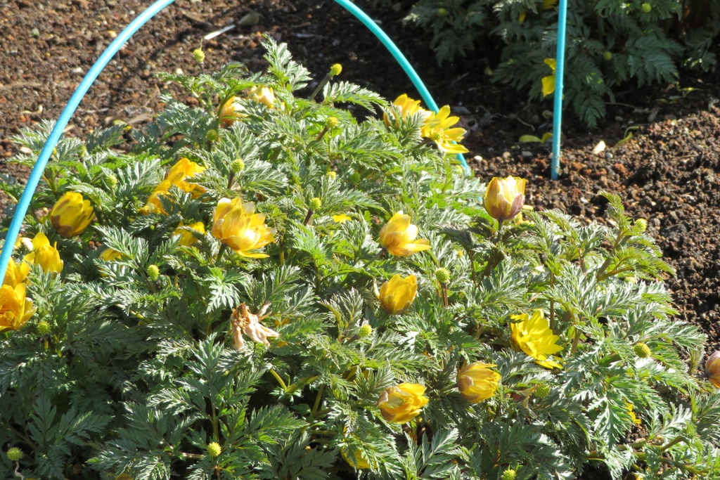 |無料であげる第二弾| 写真たち