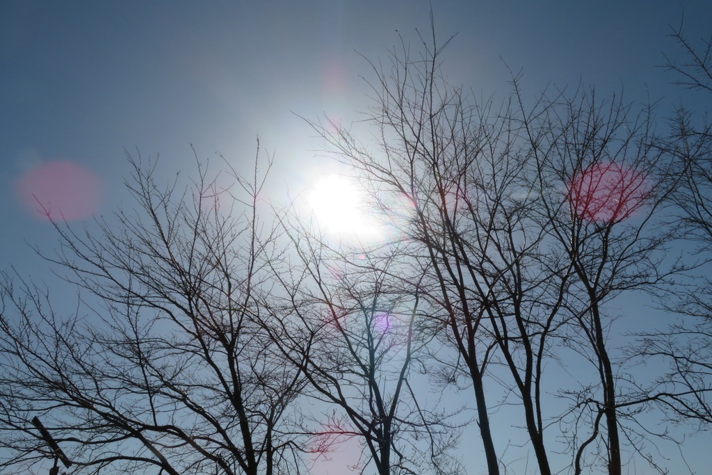 |無料であげる第二弾| 写真たち