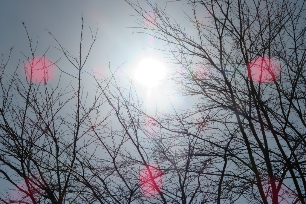 |無料であげる第二弾| 写真たち