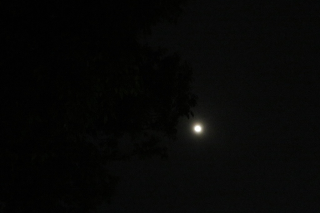 |無料であげる第二弾| 写真たち