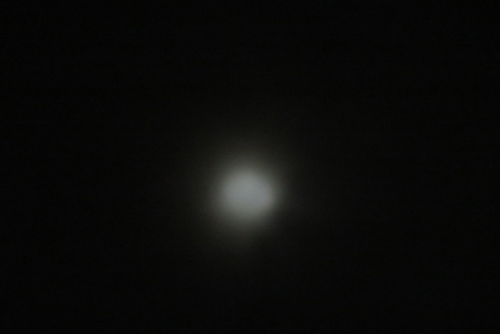 |無料であげる第二弾| 写真たち