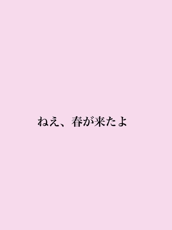 ねえ、春がきたよ