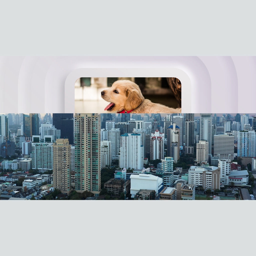 立体的で柔らかな質感のタイトル