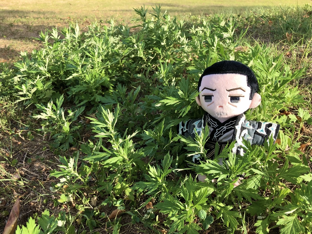 切伏紋様と刺繍の着物