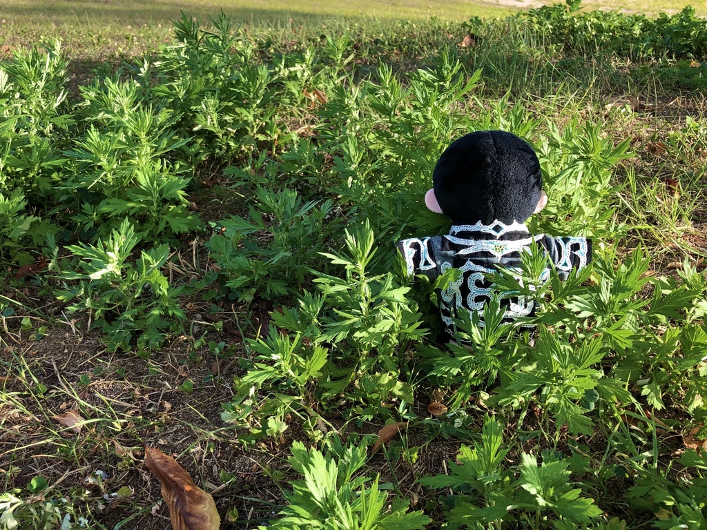 切伏紋様と刺繍の着物