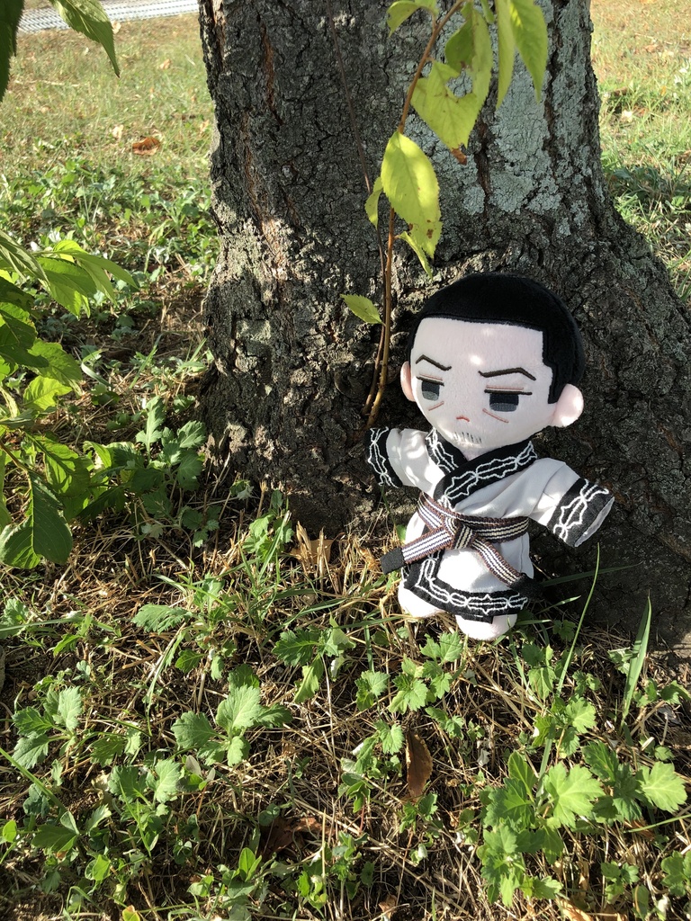 白い刺繍の着物