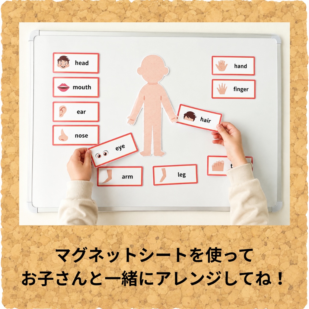 おうちで英語を楽しく勉強 体のパーツ・ネームカードセット(赤色)保育園・幼稚園・小学校
