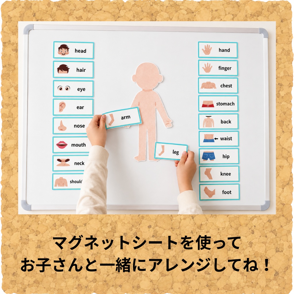 おうちで英語を楽しく勉強 体のパーツ・ネームカードセット(水色)保育園・幼稚園・小学校