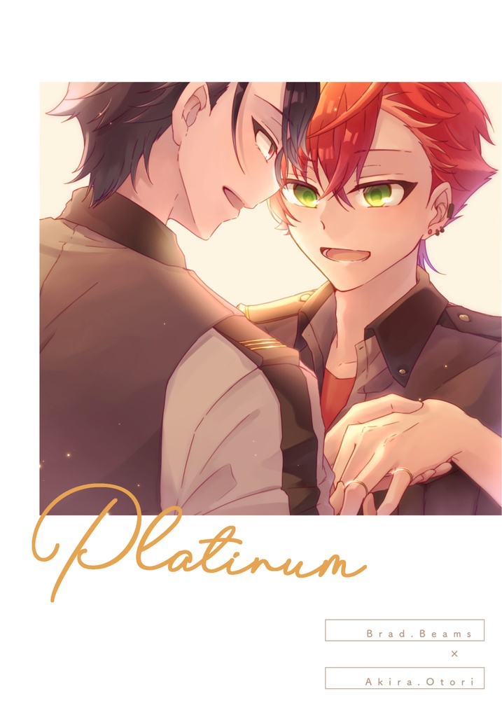 【匿名配送】platinum