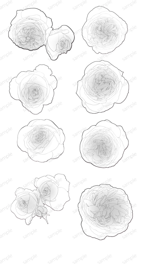 薔薇素材6種類×6色