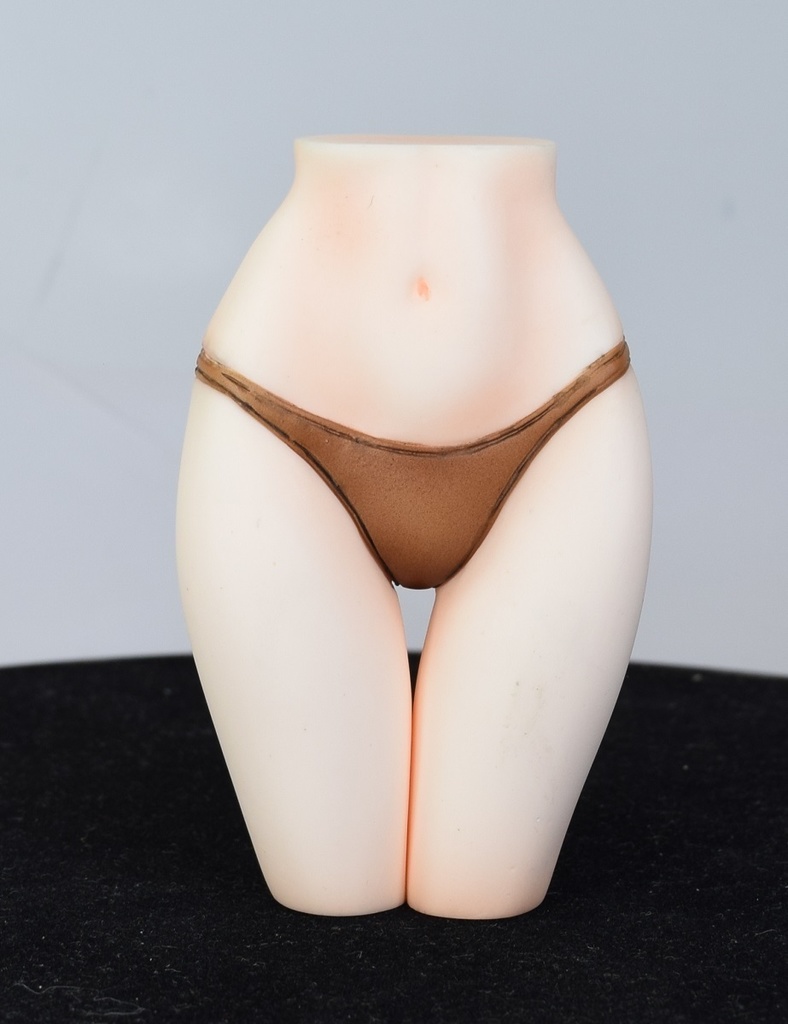 1/6 ドルフィンウェーブ  紫苑の水着　S-MIST  住乃絵紫苑