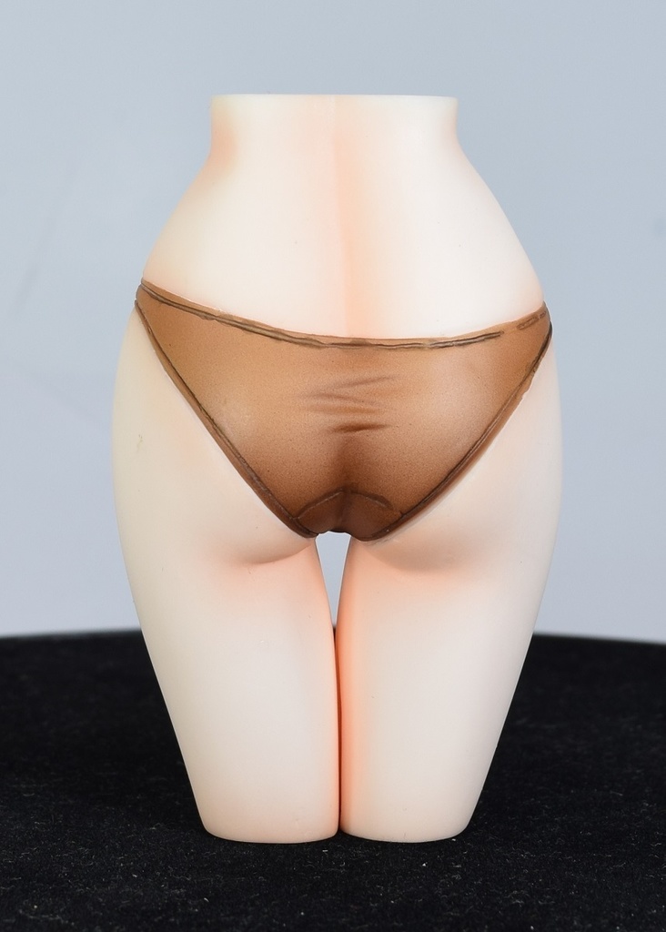 1/6 ドルフィンウェーブ  紫苑の水着　S-MIST  住乃絵紫苑