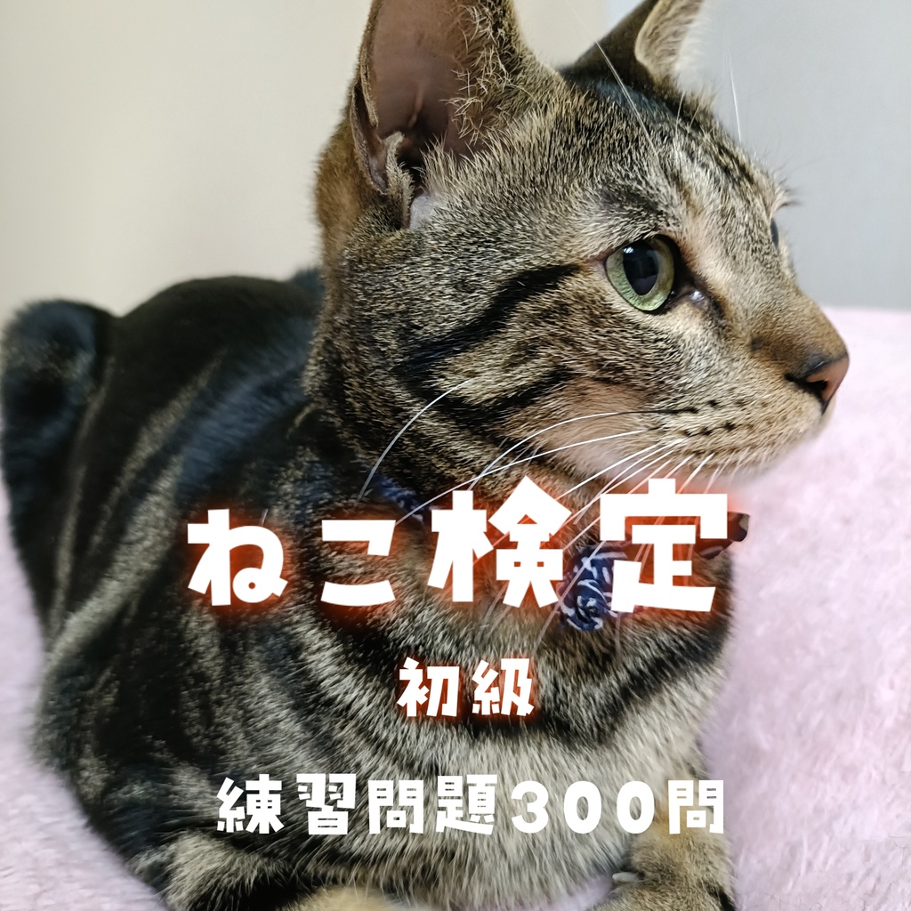 ねこ検定【初級】練習問題300問