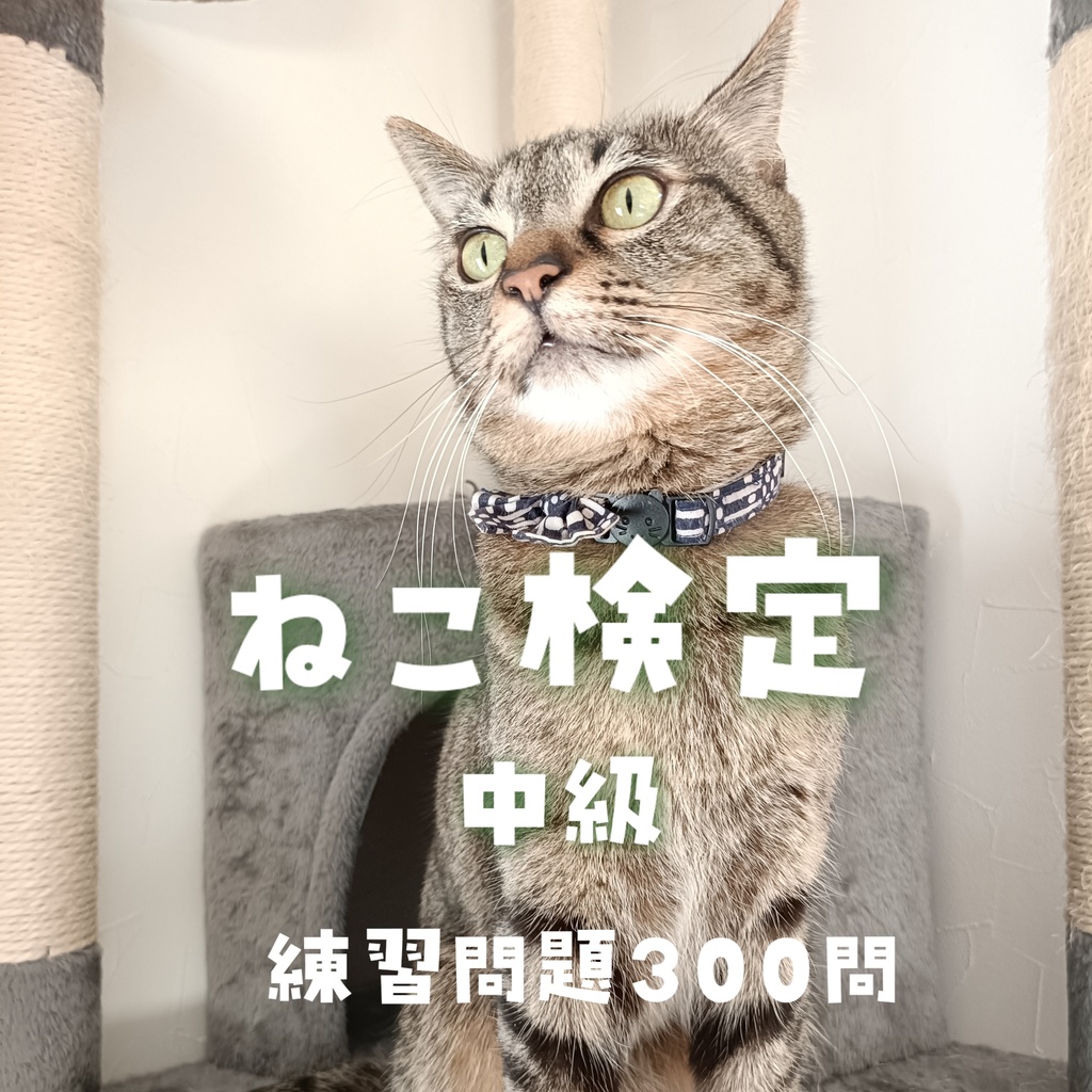 ねこ検定【中級】練習問題300問