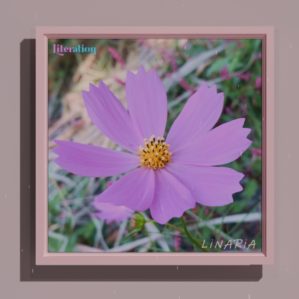 【先行DL販売】Literation 1st Album 「LiNARiA」(DL購入特典:Tr.2~Tr.13各Instrumental・歌詞テキストファイル付属)