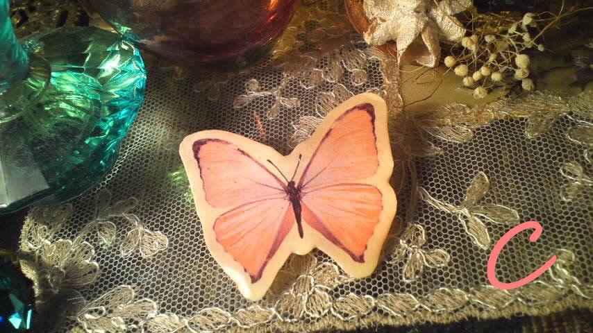 蝶蝶の標本風ブローチ