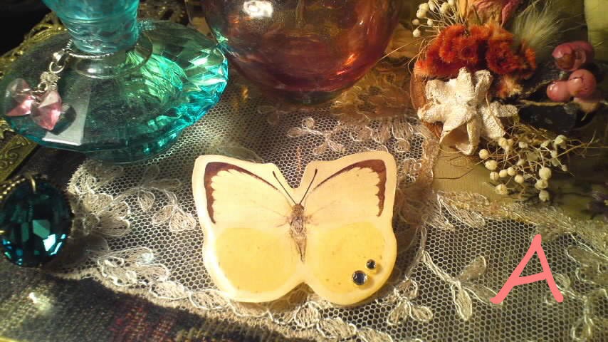 蝶蝶の標本風ブローチ