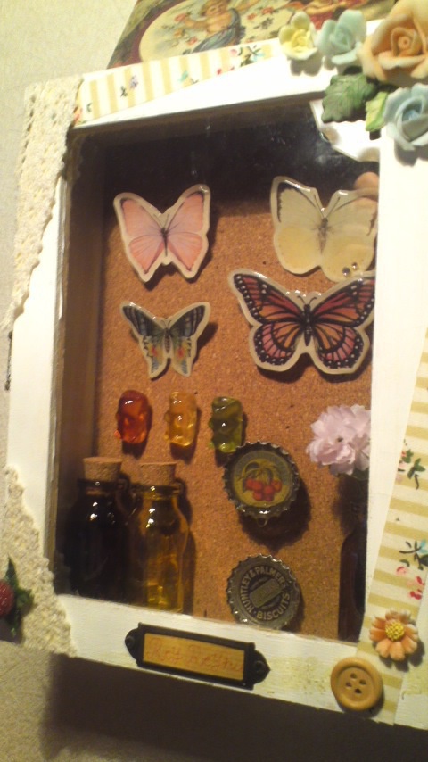 蝶蝶の標本風ブローチ