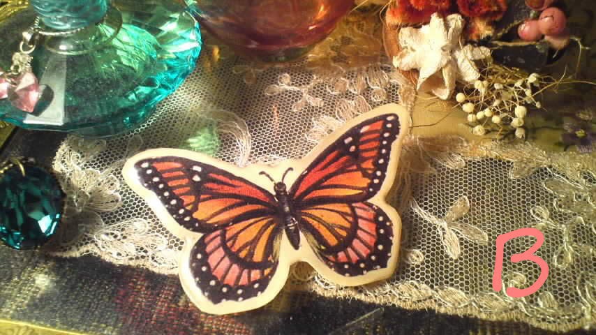 蝶蝶の標本風ブローチ