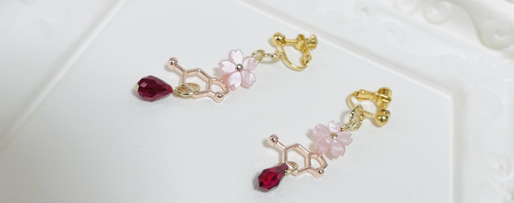 パラロイイメージ2