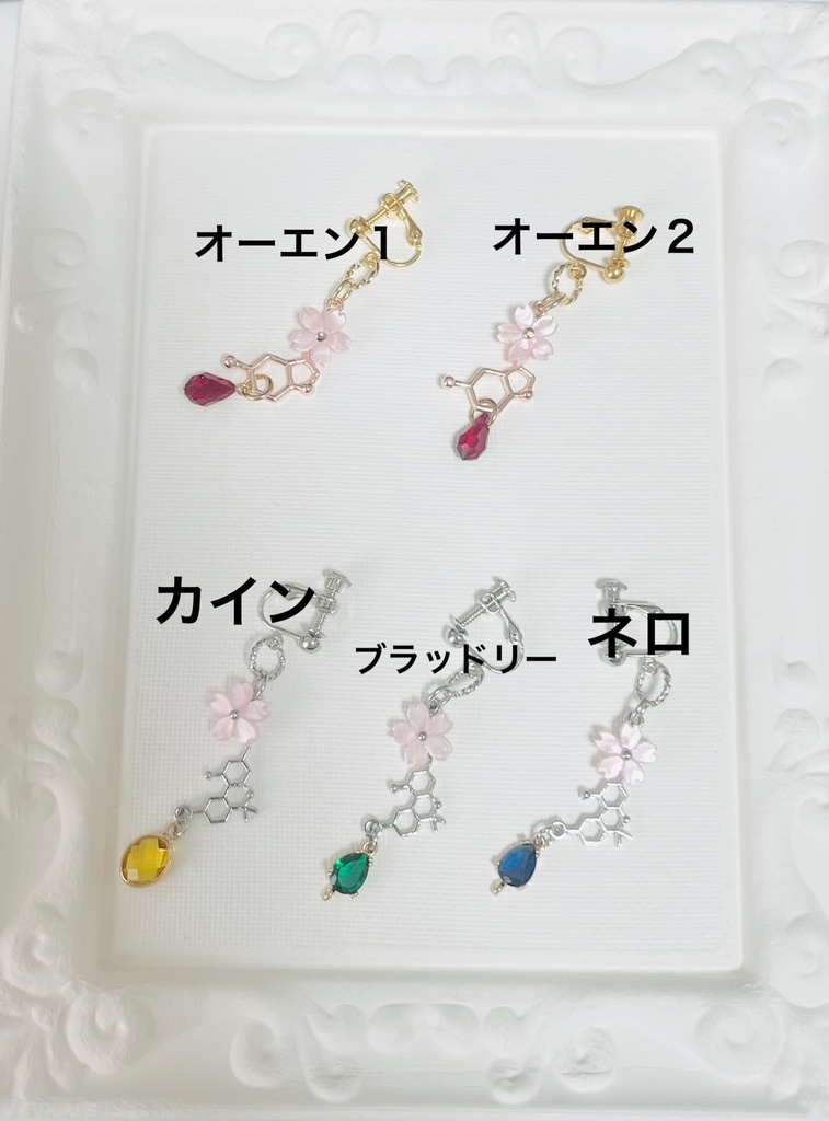 パラロイイメージ２