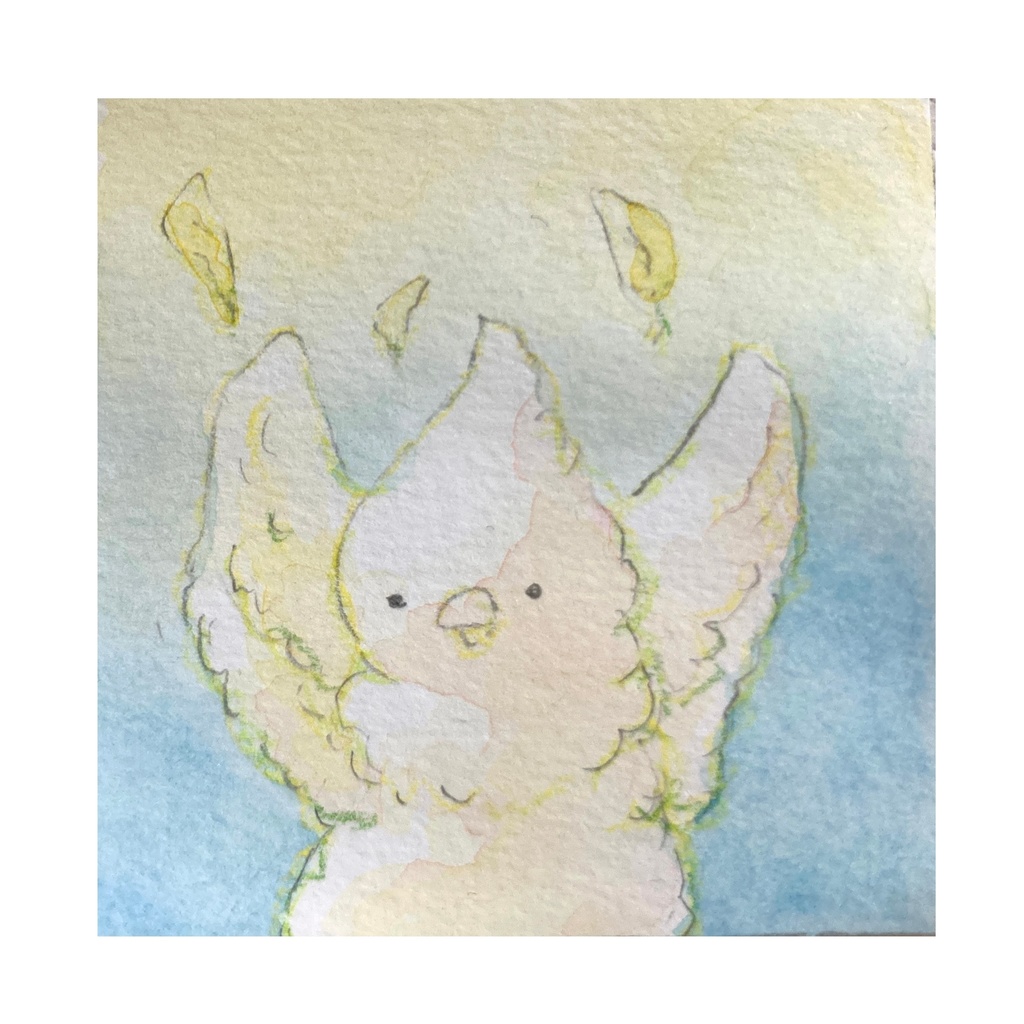 透明水彩　ミニ原画（額なし）　とり　a3