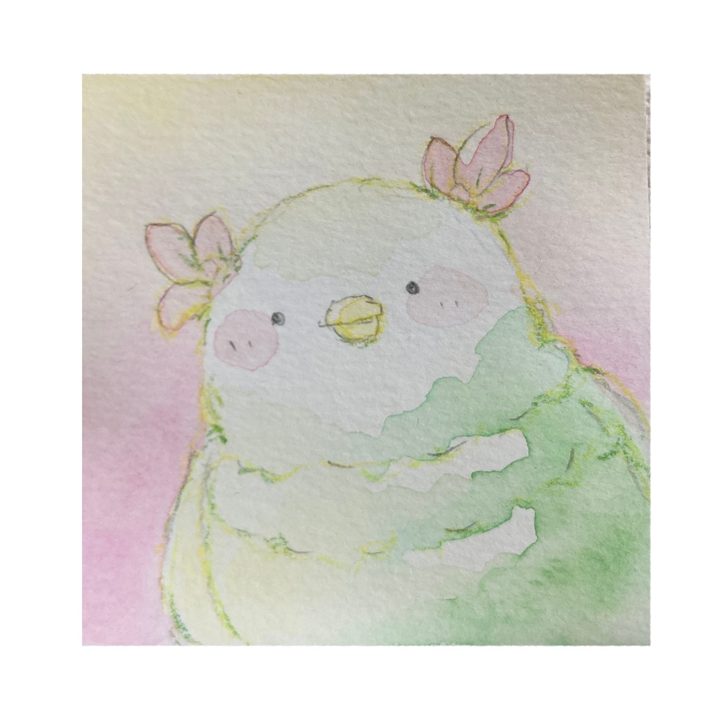 透明水彩　ミニ原画（額なし）　とり