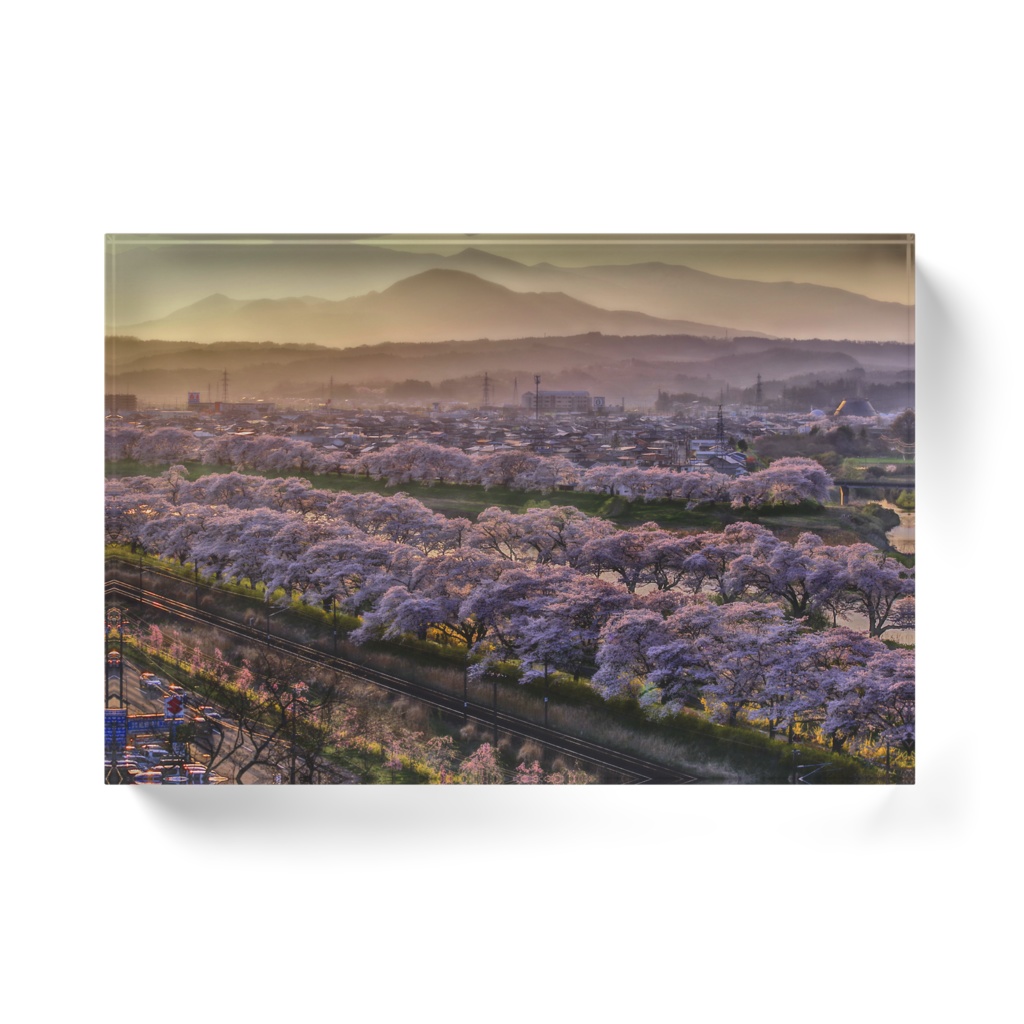 桜並木のアクリルブロック