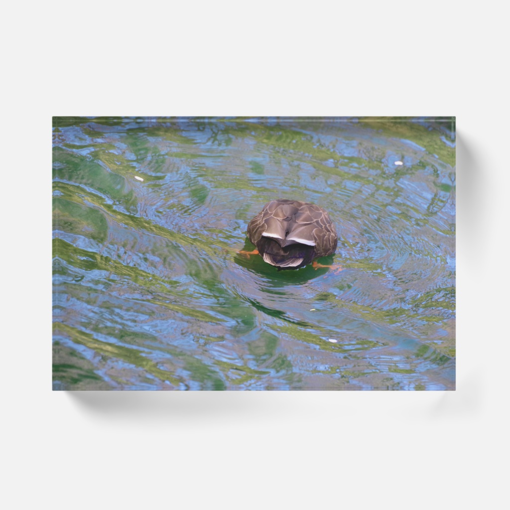 お尻のアクリルブロック