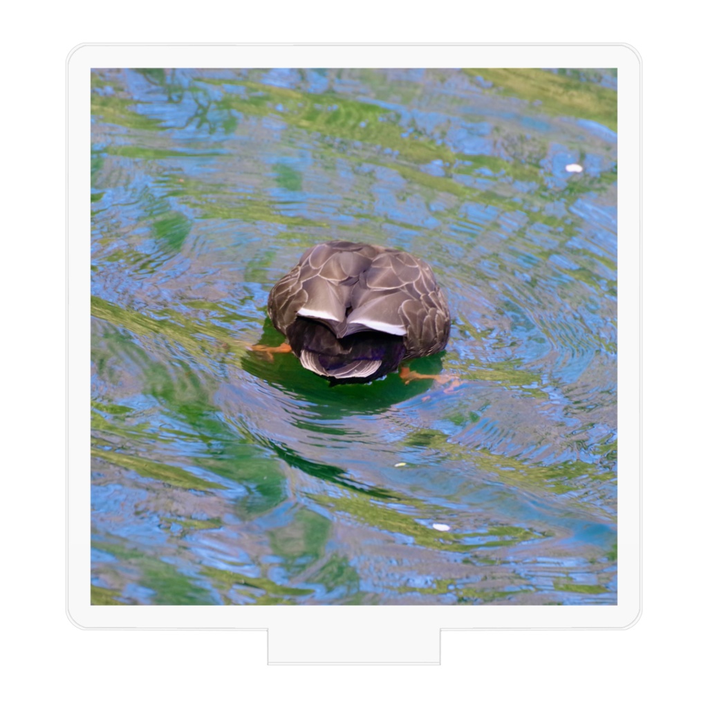 お尻のアクリルフィギュア