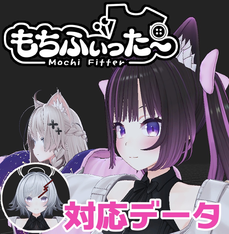 Mochi-fit Data for Anon image