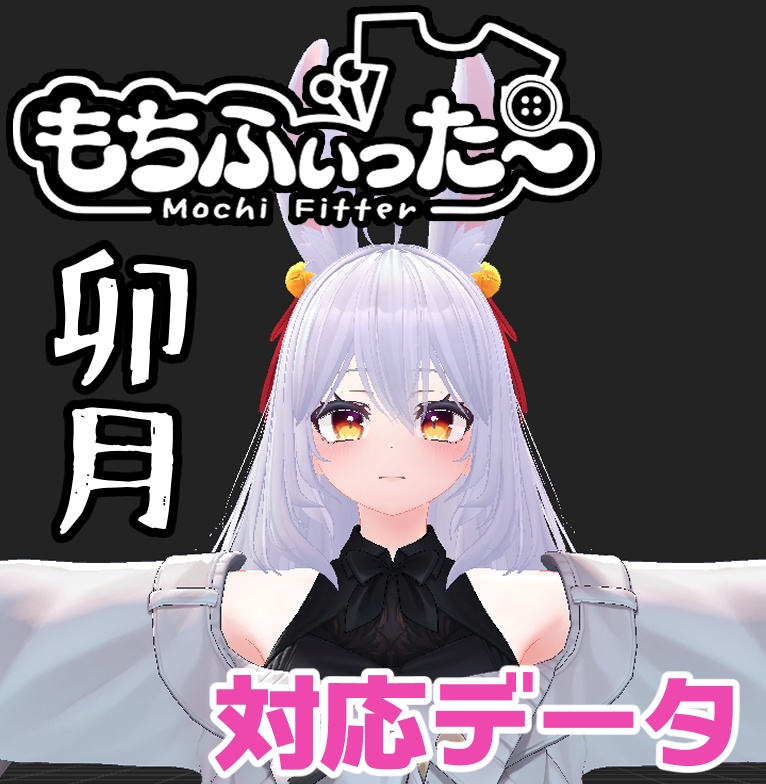 卯月用もちふぃった～対応データ